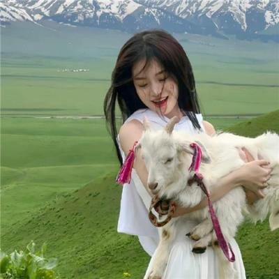 缘来自有机粤语